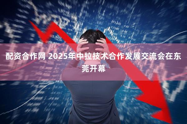 配资合作网 2025年中拉技术合作发展交流会在东莞开幕